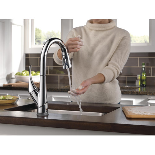 9981TRBDST,BLDST,ARDST Delta Esque Pull Down Touch Kitchen Faucet & Reviews Wayfair
